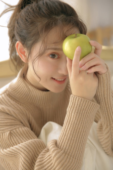 上阵父子兵电视剧